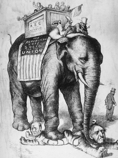 Pachyderm Member